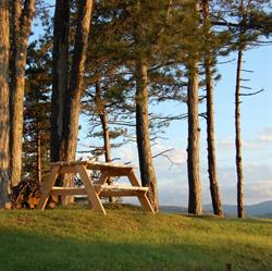 La Tana degli Scoiattoli Bed&Breakfast/Affitto Appartamenti Loiano - BO, orari di apertura