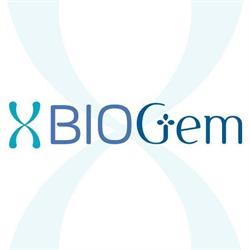 XBIOGem S.r.l, Roma orari di apertura