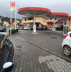 MF carburanti e pneumatici, Massarosa orari di apertura