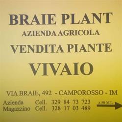 Braie plant, Camporosso orari di apertura