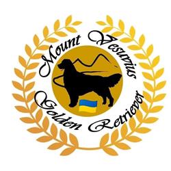 Mount Vesuvius Golden Retriever, Trecase orari di apertura