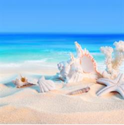 Playa dorada, Frosinone orari di apertura