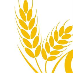 Associazione GRANO ODV, Pietrasanta orari di apertura