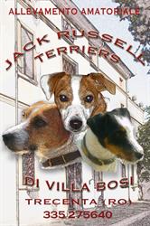 Jack Russell Terrier 'di Villa Bosi' Kennel, Trecenta orari di apertura