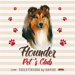 Flounder Pet's Club, Martina Franca orari di apertura