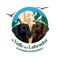 La Valle dei Labrador Alta Valle Intelvi, Lanzo D'intelvi - Orari di apertura
