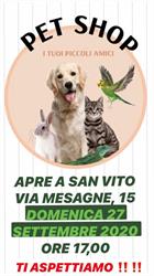 Pet Shop - I tuoi piccoli amici, San Vito dei Normanni orari di apertura