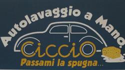 Autolavaggio a Mano Ciccio Passami La Spugna, Treviglio orari di apertura