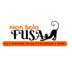 Non Solo Fusa - Pensione Felina, Polignano a Mare orari di apertura