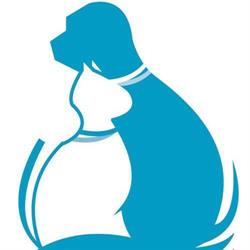 Ambulatorio Veterinario Terra D’Arneo, Nardò orari di apertura