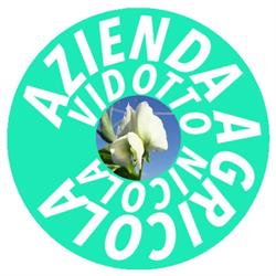 Azienda agricola Vidotto Nicola, Trofarello orari di apertura