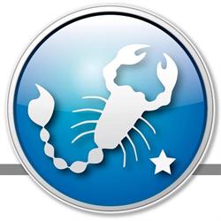 New Estetic Distributore Estetica Professionale, Casarano orari di apertura