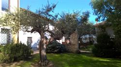 B&B Villa Cantarutti, Martignacco orari di apertura