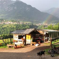 Azienda Agricola Sommavilla Susan, Cavalese orari di apertura