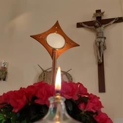 Parrocchia San Francesco da Paola, Catanzaro orari di apertura