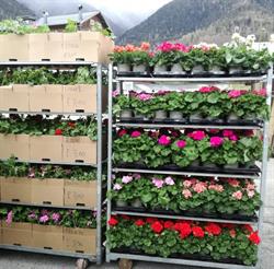 tuttoGIARDINO, Valle di Cadore orari di apertura