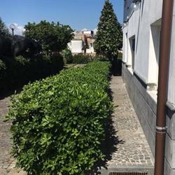 VILLA ROSA . Casa alloggio per anziani, Pollena Trocchia orari di apertura