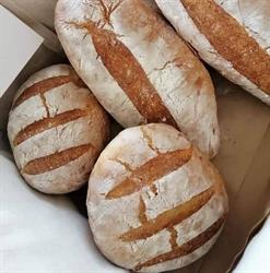 Panificio fior di pane di Buscaglia Nicolò, Campobello di Mazara orari di apertura
