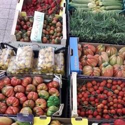 Alfa frutta, Roma orari di apertura