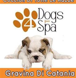 Amici con la coda Catania, orari di apertura