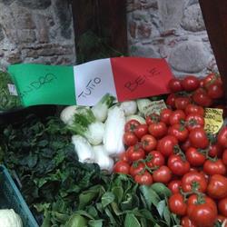 L'Oasi della Frutta, Brancaleone orari di apertura