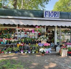I Fiori dell'Elefante, Torino orari di apertura