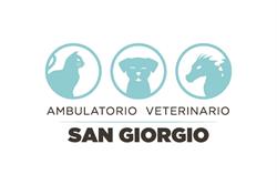 Ambulatorio Veterinario San Giorgio, Maser orari di apertura