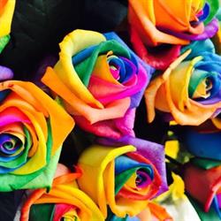 Lorusso Fiori e Piante, Milano orari di apertura