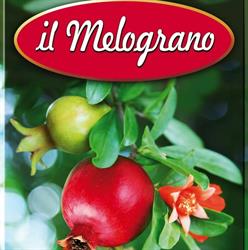 Il Melograno, Castelnuovo della Daunia orari di apertura