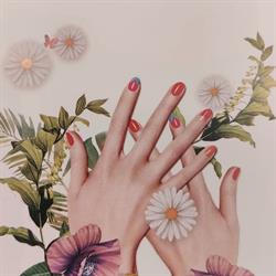 Beauty nails Treviso, orari di apertura