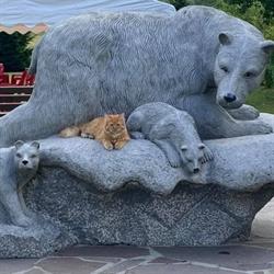 Parco degli Orsi, Temù orari di apertura