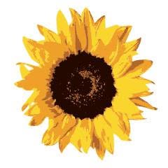 Il Girasole pizza al taglio - Pistoia, orari di apertura