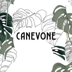 Canevone, Rovigo orari di apertura