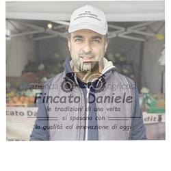 Az.Agr.Fincato Daniele, Codevigo orari di apertura