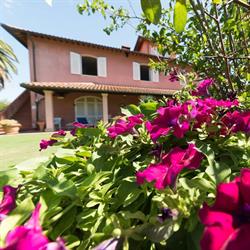 Casa Barbara Donoratico, Castagneto Carducci orari di apertura