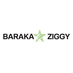 Baraka & Ziggy, Ravenna orari di apertura