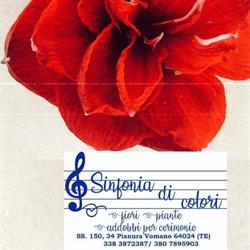 Sinfonia di Colori - fiori e piante, Guardia Vomano, Notaresco orari di apertura