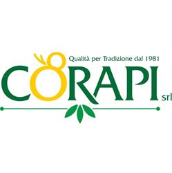 Salumeria Corapi - Qualità per tradizione dal 1981, Lamezia Terme orari di apertura