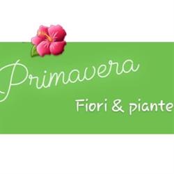 Primavera Fiori e Piante, Lucera orari di apertura