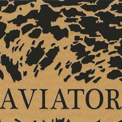 Aviator abbigliamento, San Giovanni in Persiceto orari di apertura