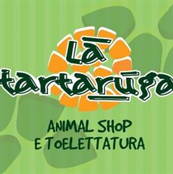 La Tartaruga, Penne orari di apertura