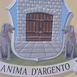 Weimaraner Dell'Anima D'argento, San Colombano Certenoli orari di apertura