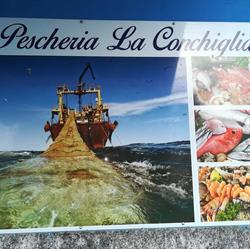 Pescheria La Conchiglia - di Feola Salvatore, Scisciano orari di apertura