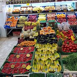 L'oasi della frutta, Cellole orari di apertura