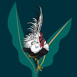 Say Please Garden Experience, Caserta orari di apertura