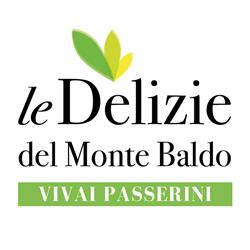 Vivai Passerini Paolo - le Delizie del Monte Baldo, Brentonico orari di apertura