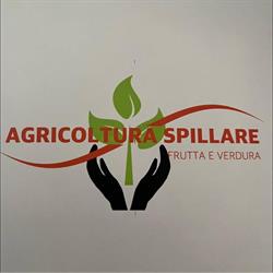 Agricoltura Spillare Denis, Santorso orari di apertura