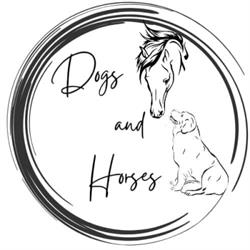 Dogs And Horses Centro Cinofilo, Massa d'Albe orari di apertura