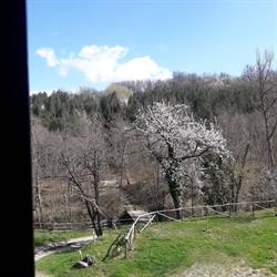 Molino di Giovannino, San Benedetto Val di Sambro orari di apertura