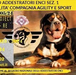 La scuola di Pupi by Dog's Life Project, Correggio orari di apertura
